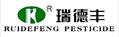 小黄片免费下载实业与瑞德丰达成合作